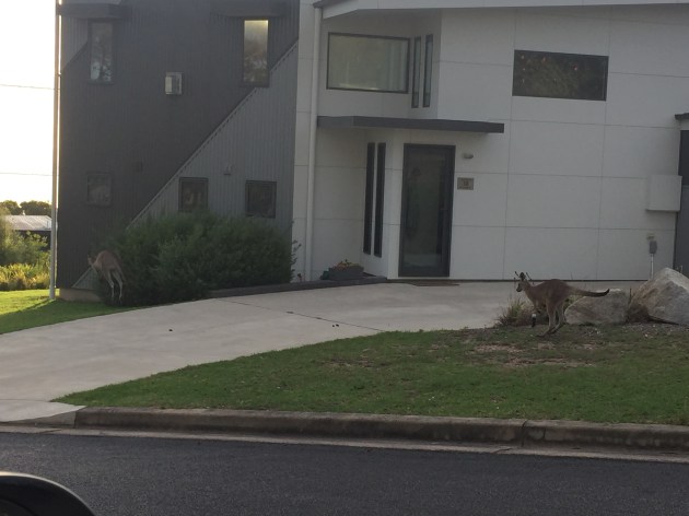 2017-03-11 07.29.26-1