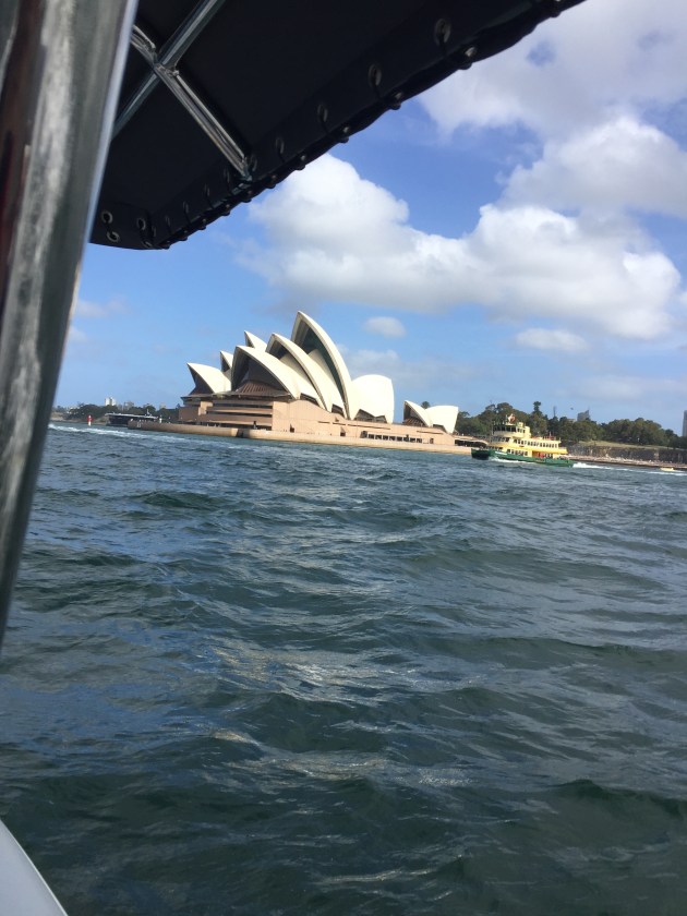 On the RIB, on the harbour