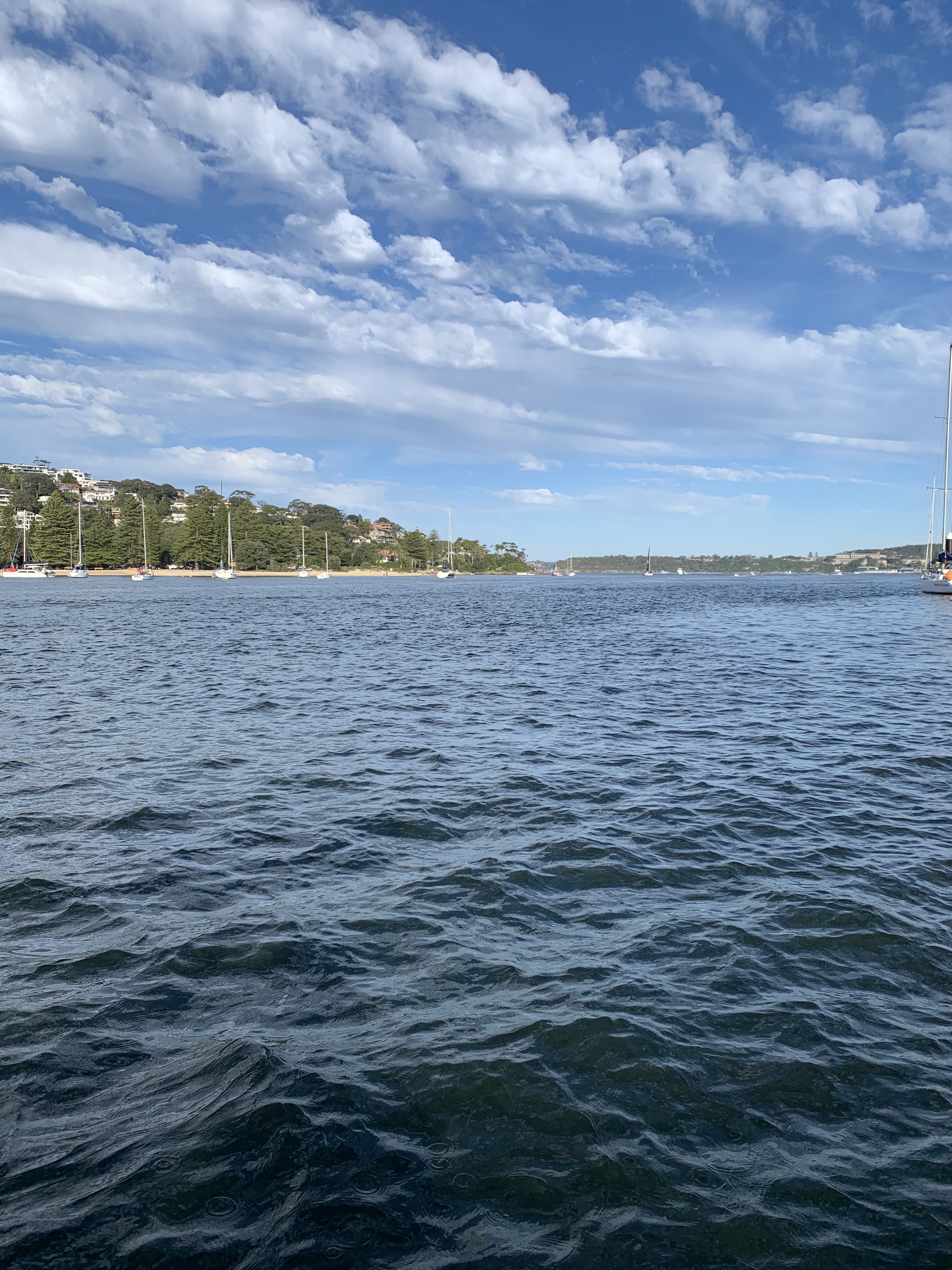 Middle Harbour in Winter