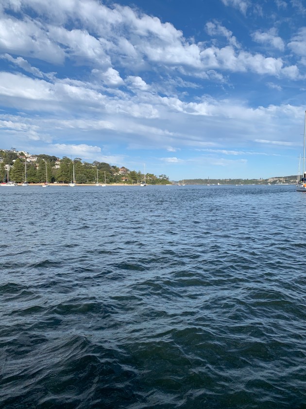 Middle Harbour in Winter